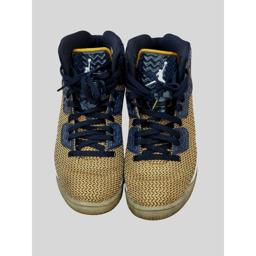 Nike Air Jordan Spike Forty Lee Dunk Basketball Shoes Mens Size 10-lp